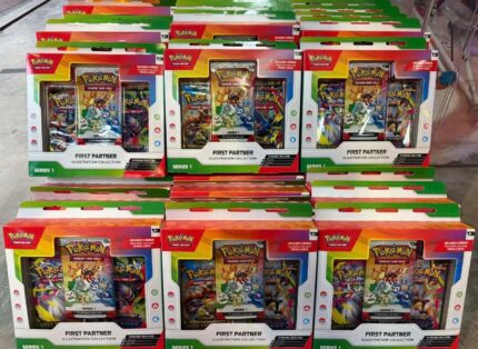 FIRST PARTNER ILLUSTRATION COLLECTION CASE OF 6